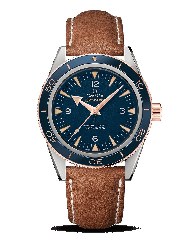 OMEGA Seamaster Seamaster 300 Master Co-Axial 41mm fake 233.62.41.21.03.001