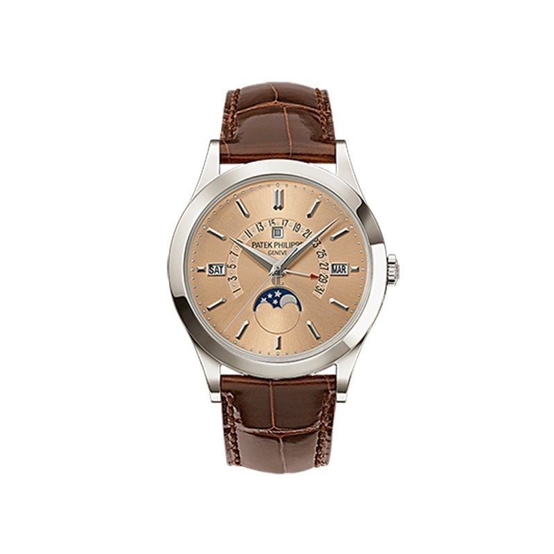 Patek Philippe Grand Complications Automatic Prepetual Calendar 5496P-014
