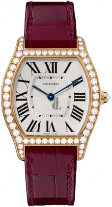 Cartier Tortue WA501008 imitation