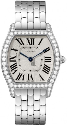 Cartier Tortue WA501013 imitation