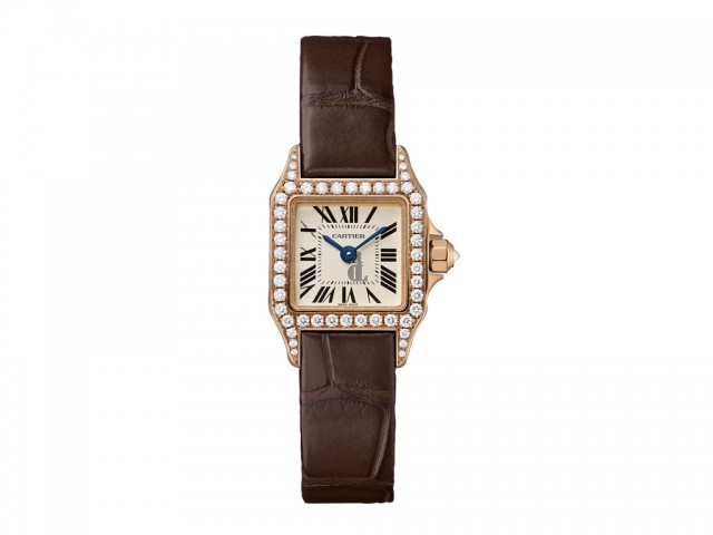 Cartier Santos Demoiselle Small WF902006 imitation