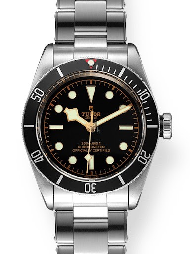 fake Tudor Black Bay Heritage M79230N-0002