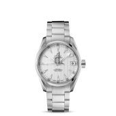 Omega Seamaster Aqua Terra  watch replica 231.10.39.21.02.001