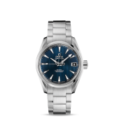 Omega Aqua Terra 150m Gents  watch replica 231.10.39.21.03.001