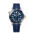 OMEGA Seamaster Steel Sedna Gold Chronometer Watch 210.22.42.20.03.002 replica