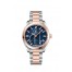 OMEGA Seamaster Steel Sedna Gold Anti-magnetic Watch 220.20.34.20.03.001 replica