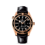 Omega Seamaster Planet Ocean Mens fake 222.63.46.20.01.001