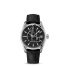 Omega Seamaster Aqua Terra 150 M fake 231.13.39.21.06.001