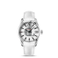 Omega Seamaster Aqua Terra Mens fake 231.13.39.21.54.001