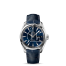 Omega Seamaster Aqua Terra Annual Calendar fake 231.13.39.22.03.001