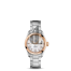 Omega Seamaster Aqua Terra fake 231.20.30.20.55.003