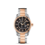 Omega Seamaster Aqua Terra Automatic fake 231.20.39.21.06.001