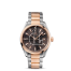 Omega Seamaster Aqua Terra fake 231.20.42.21.06.001