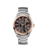 Omega Seamaster Aqua Terra fake 231.20.42.21.06.002
