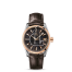 Omega Seamaster Aqua Terra fake 231.23.39.21.06.001