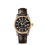 Omega Seamaster Aqua Terra fake 231.23.39.21.06.002