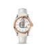 Omega Seamaster Aqua Terra fake 231.23.39.21.52.001