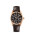 Omega Seamaster Aqua Terra Automatic fake 231.53.39.21.06.001