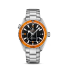 Omega Seamaster Planet Ocean 600m fake 232.30.42.21.01.002