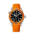 Omega Seamaster Planet Ocean Mens fake 232.32.46.21.01.001