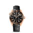 Omega Seamaster Planet Ocean 600M fake 232.63.42.21.01.001