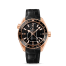 Omega Seamaster Planet Ocean GMT fake 232.63.44.22.01.001