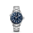 Omega Seamaster Planet Ocean Automatic fake 232.90.38.20.03.001
