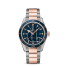 Omega Seamaster 300 fake 233.60.41.21.03.001