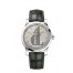OMEGA Seamaster Platinum Anti-magnetic Watch 511.93.38.20.99.001 replica