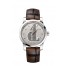 OMEGA Seamaster Platinum Anti-magnetic Watch 511.93.38.20.99.002 replica