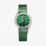 Limelight Gala Woman G0A43160