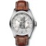 Cheap IWC Pilots Spitfire UTC Steel IW325110 fake.