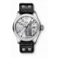 Cheap IWC Classic Father & Son Steel IW325519 fake.