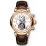 IWC Da Vinci Tourbillon Retrograde Chronograph IW393101