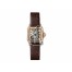 Cartier Santos Demoiselle Small WF902006 imitation