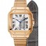 Replica Cartier Santos Automatic Self Wind WGSA0008 Mens Watch