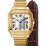 Replica Cartier Santos Automatic Self Wind WGSA0010 Mens Watch