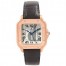 Replica Cartier Santos Automatic Self Wind WGSA0012 Mens Watch