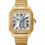 Replica Cartier Santos Automatic Self Wind WJSA0010 Unisex Watch