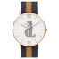 $89:Discounts Daniel Wellington Grace Selwyn Mixed Strap Watch 36mm