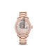 OMEGA Seamaster Sedna gold Diamonds 220.58.34.20.99.005