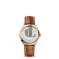 OMEGA Seamaster Sedna gold Diamonds 220.58.34.20.99.006