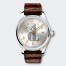 IWC Pilot Automatic Slate Grey Dial Watch IW324005 fake