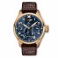 IWC Pilot's Le Petite Prince Watch IW502802 fake