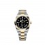 fake Rolex Explorer Rolesor Oystersteel and 18 ct yellow gold M124273-0001 Watch